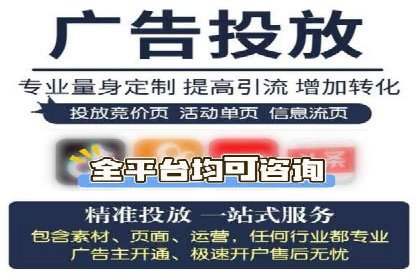 百度推广实战技巧：案例详解
